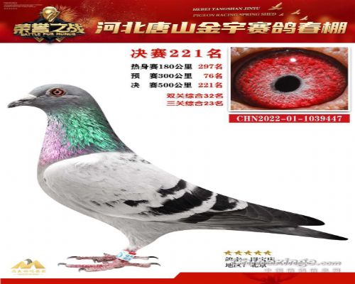 �ƽ�����