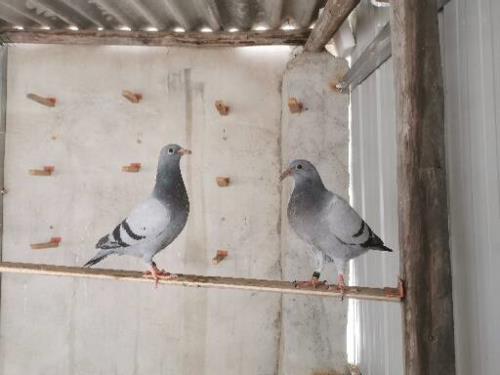 20240413����һ