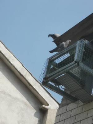 ������԰20240427