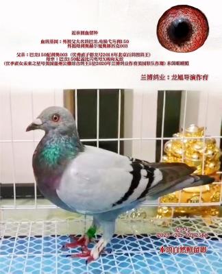 ��ĸ518������ҵ