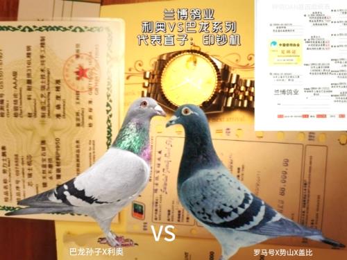 ��ĸ118X����.������