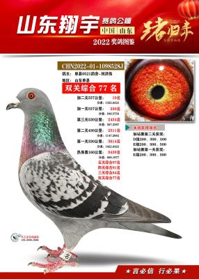 2022�������ǿ��10��
