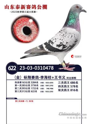 �������622����ɣ��ʿ*�ֲ���