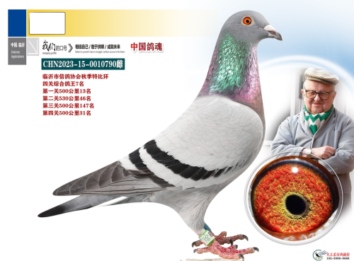 �Ĺ��ۺ�7��