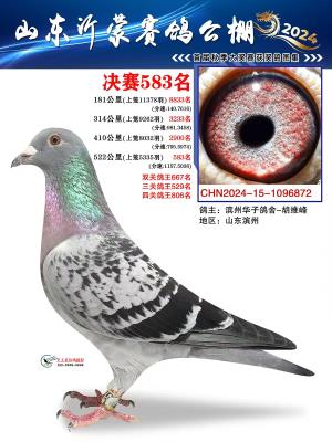 ɽ�����ɹ��������583��