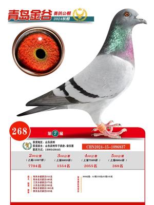 ɽ���ൺ���������2��