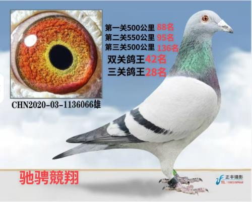 ���ظ���28