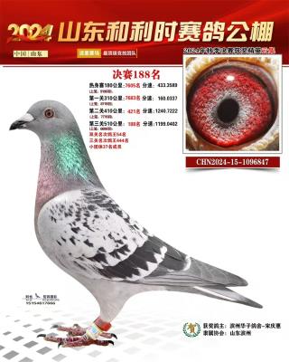 ɽ������ʱ���������188��