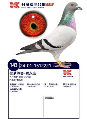 ������ս143��