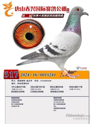 ���˴����������