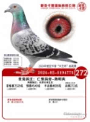 ����272��