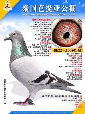 �������� ����