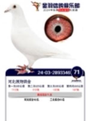 ��ѩ�����俼����