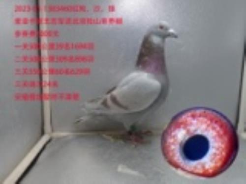 ���ǿ���