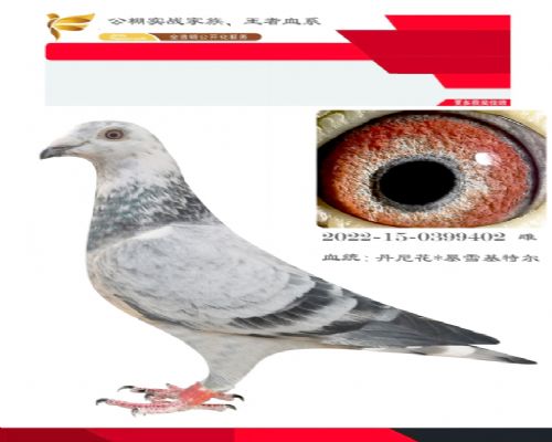 ��ѩ���ض�