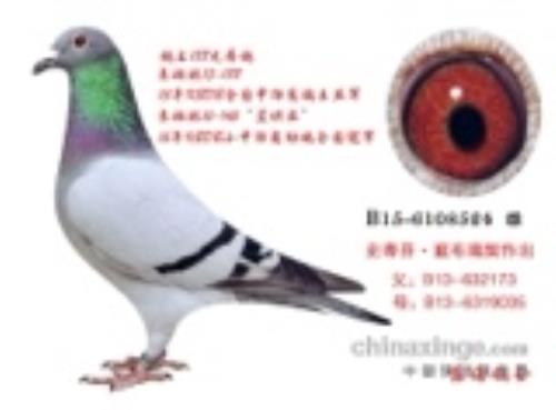 ʷ�ٷҡ���������