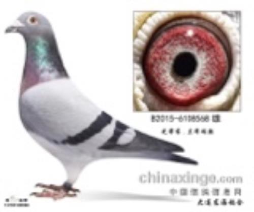 ʷ�ٷҡ���������