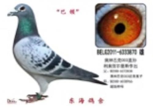 ���¡��ض���˹003ֱ��