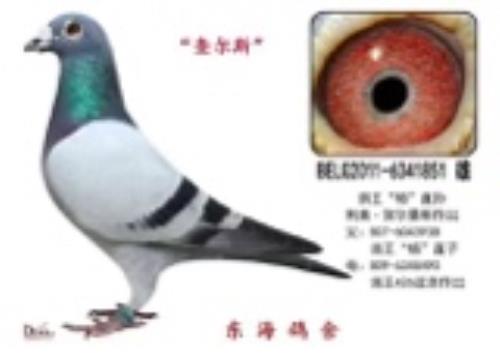 ���¡��ض���˹��