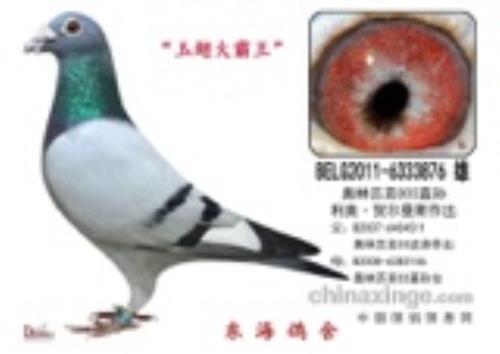 ���ºض���˹003