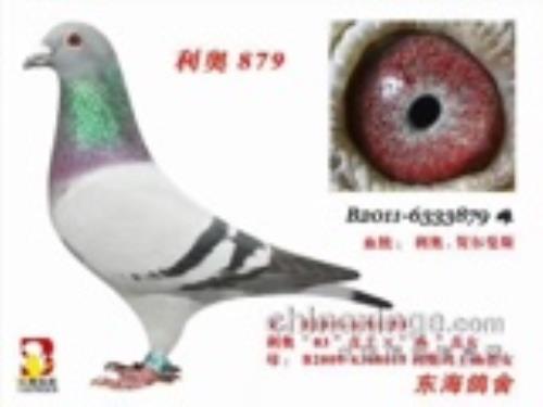 ���¡��ض���˹����Ů