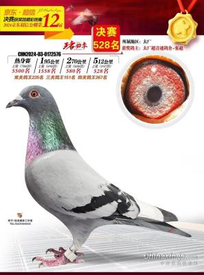 ����528��