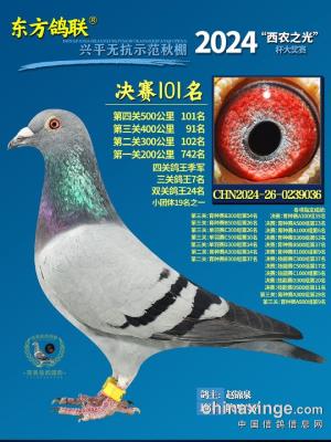 2024�������޿�101��