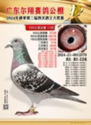 ɣ��ʿ���Ǳ�