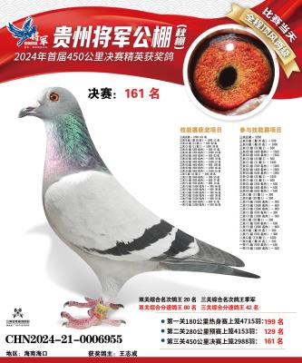 ɣ��ʿ���Ǳ�