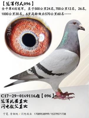 �ھ�����096-�ھ�����Ů��
