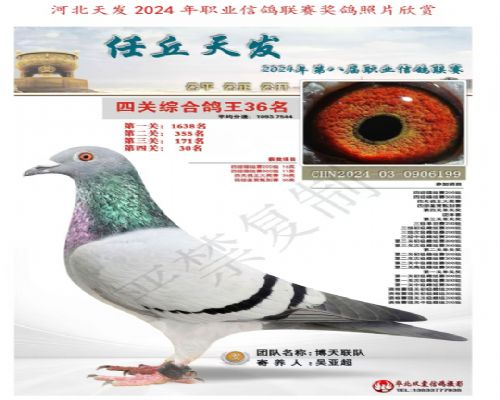 �췢�Ĺ��ۺ�36