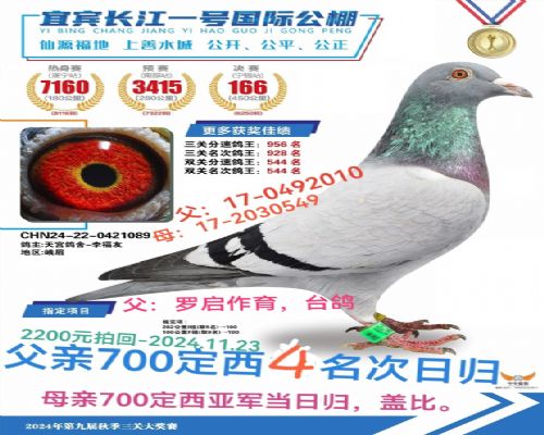 ��ü���~����166�����Ǳ�ĸֱ��