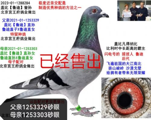 ������~ɰ�۸Ǳ���