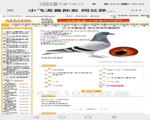 ������~�ɸ�ĸ