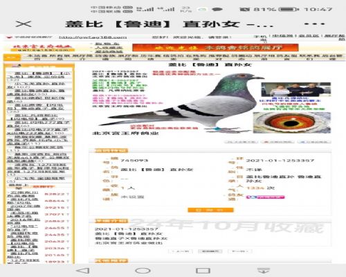 ������~���۸Ǳ�ĸ