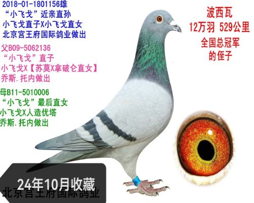 ������~�ɸ���