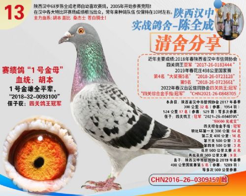 ������ĸ157���д�������