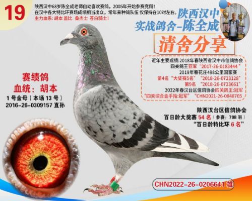 ������ĸ157����