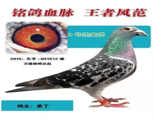 �������ά������