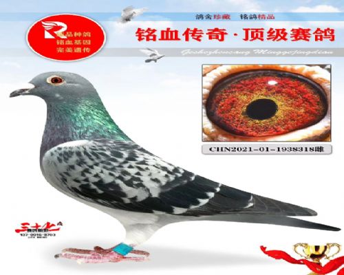 ����ʱ�׸����ھ�ֱ��