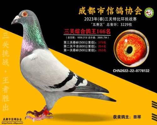 �ɶ��½���������5+6+5���ظ���