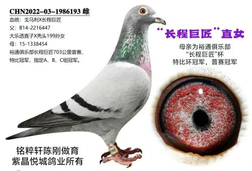 ������ ���̾޽�ֱŮ