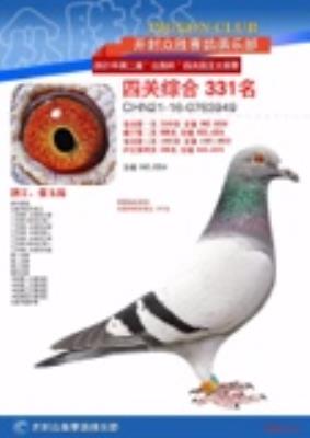 ɣ��ʿ���Ǳ�