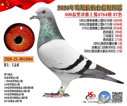 �ǱȢ�����