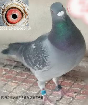 ��������֮��