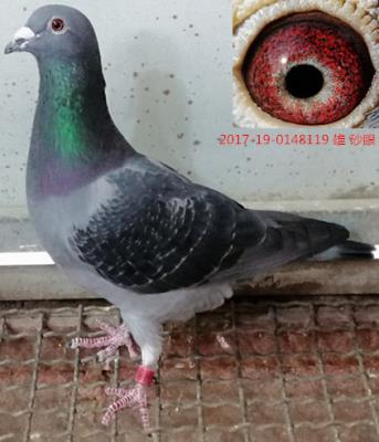 2018����������֮��