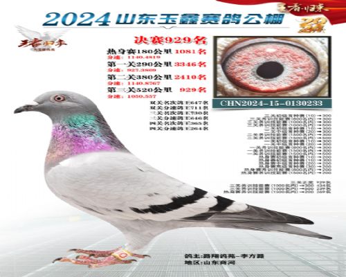 ·���Է-�·