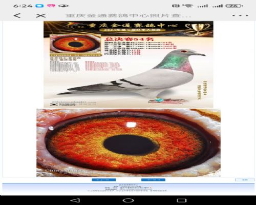 ��ͨ�������54��