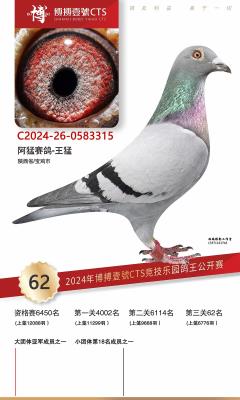 2024�격��Ҽ��62��