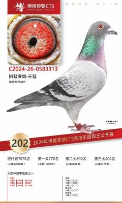 2024�격��Ҽ��202��